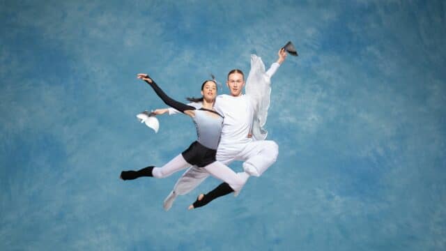 skydiver pair diving gracefully